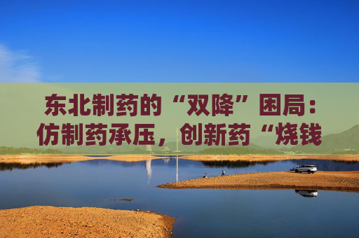 东北制药的“双降”困局：仿制药承压，创新药“烧钱”