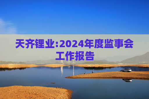 天齐锂业:2024年度监事会工作报告