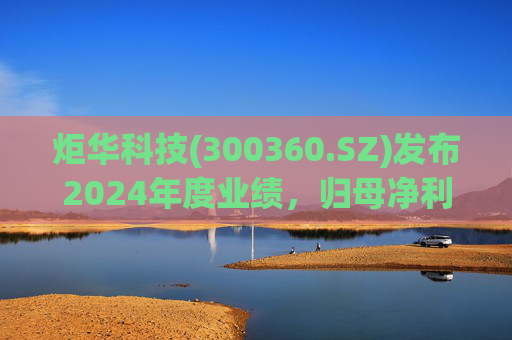 炬华科技(300360.SZ)发布2024年度业绩，归母净利润6.65亿元，同比增长9.45%  第1张