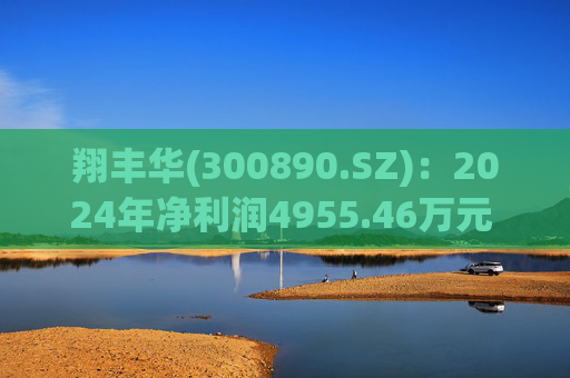 翔丰华(300890.SZ)：2024年净利润4955.46万元 同比下降40.23%