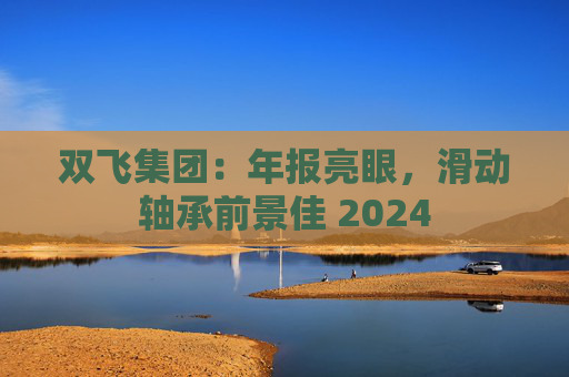 双飞集团：年报亮眼，滑动轴承前景佳 2024