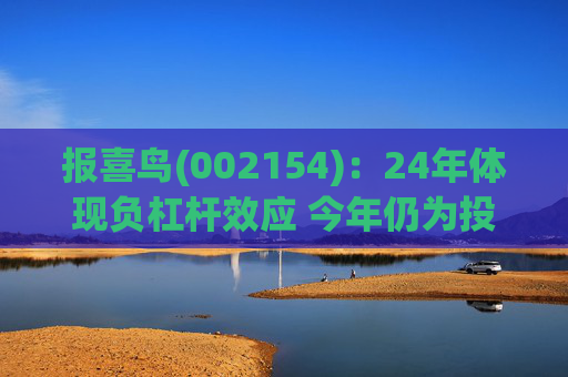 报喜鸟(002154)：24年体现负杠杆效应 今年仍为投入年