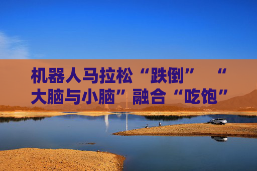 机器人马拉松“跌倒”  “大脑与小脑”融合“吃饱”