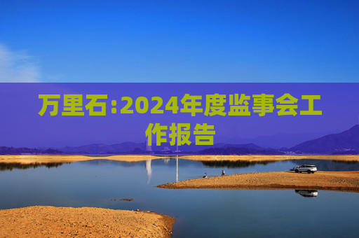 万里石:2024年度监事会工作报告