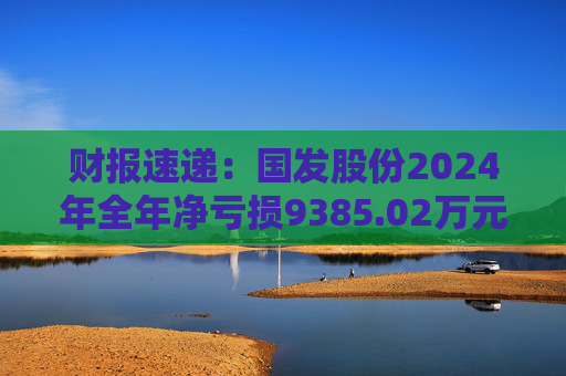 财报速递：国发股份2024年全年净亏损9385.02万元