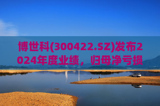 博世科(300422.SZ)发布2024年度业绩，归母净亏损8.65亿元，扩大300.66%