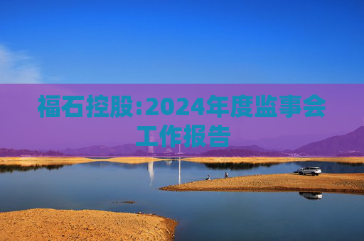 福石控股:2024年度监事会工作报告