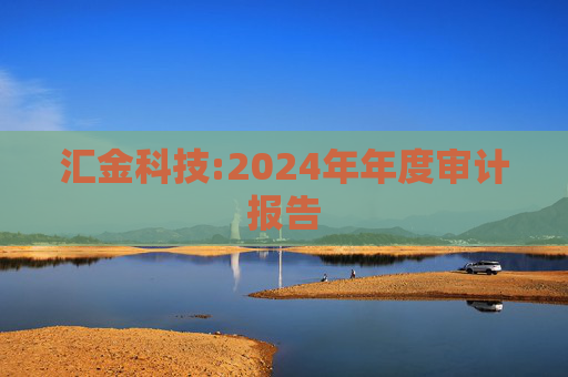 汇金科技:2024年年度审计报告