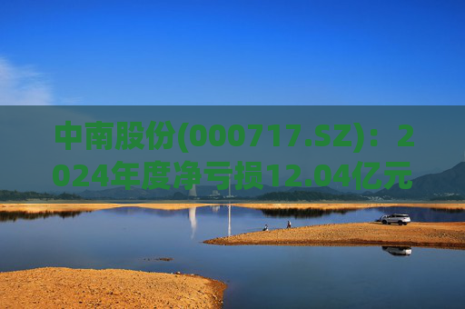 中南股份(000717.SZ)：2024年度净亏损12.04亿元