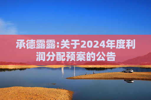 承德露露:关于2024年度利润分配预案的公告