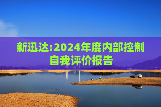 新迅达:2024年度内部控制自我评价报告