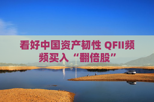 看好中国资产韧性 QFII频频买入“翻倍股”