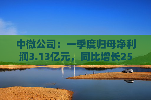 中微公司：一季度归母净利润3.13亿元，同比增长25.67%