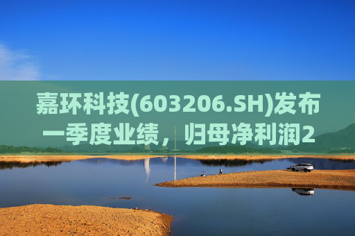 嘉环科技(603206.SH)发布一季度业绩，归母净利润2021.72万元，同比下降21.02%