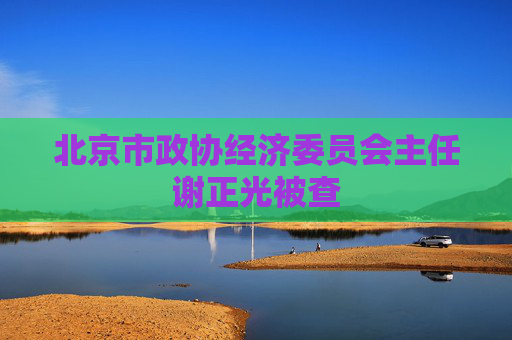 北京市政协经济委员会主任谢正光被查