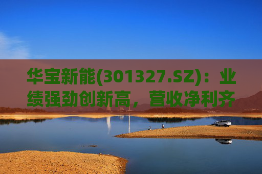 华宝新能(301327.SZ)：业绩强劲创新高，营收净利齐突破