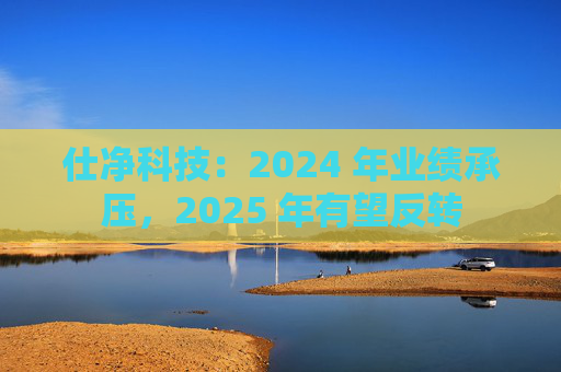 仕净科技：2024 年业绩承压，2025 年有望反转