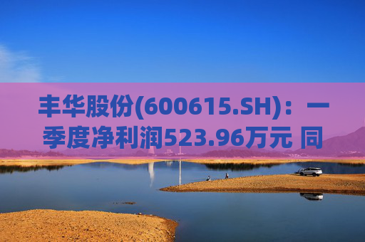 丰华股份(600615.SH):一季度净利润523.96万元 同比增长645.11%