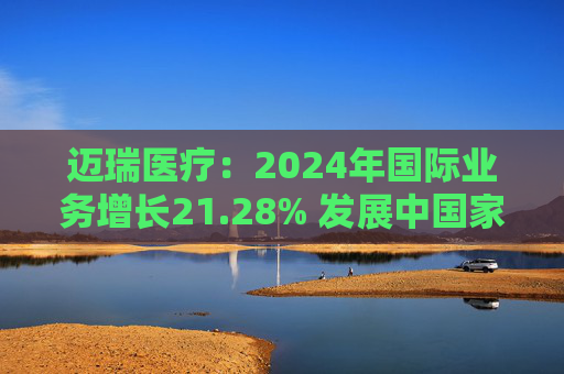 迈瑞医疗：2024年国际业务增长21.28% 发展中国家成重要增长引擎  第1张