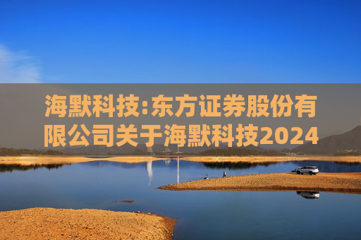 海默科技:东方证券股份有限公司关于海默科技2024年年度持续督导跟踪报告