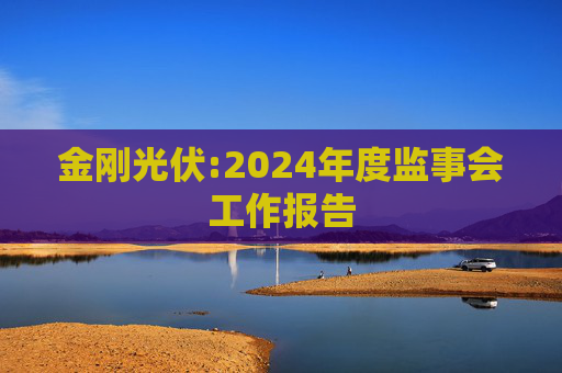 金刚光伏:2024年度监事会工作报告