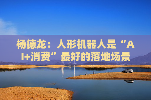 杨德龙：人形机器人是“AI+消费”最好的落地场景
