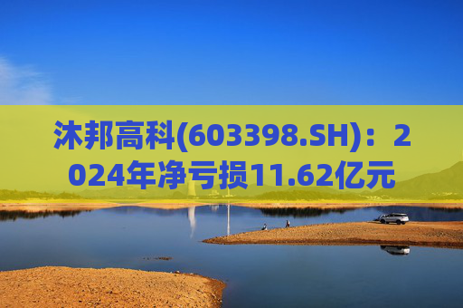 沐邦高科(603398.SH)：2024年净亏损11.62亿元