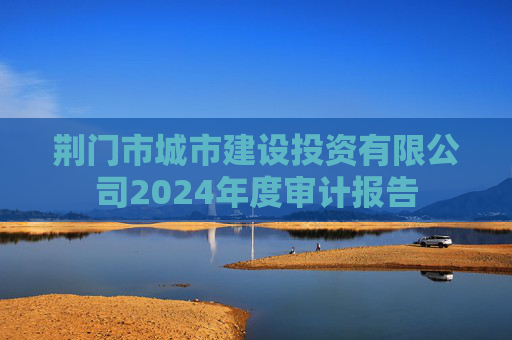荆门市城市建设投资有限公司2024年度审计报告
