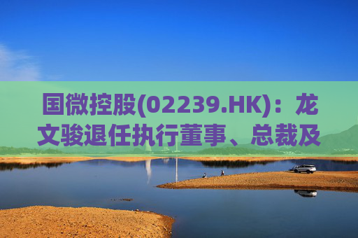 国微控股(02239.HK)：龙文骏退任执行董事、总裁及首席财务官职务  第1张