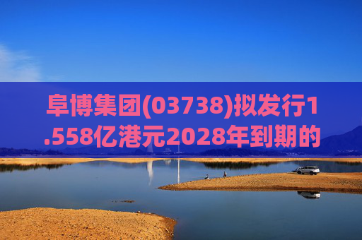 阜博集团(03738)拟发行1.558亿港元2028年到期的零息可换股债券