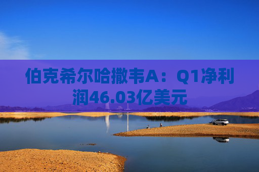 伯克希尔哈撒韦A：Q1净利润46.03亿美元