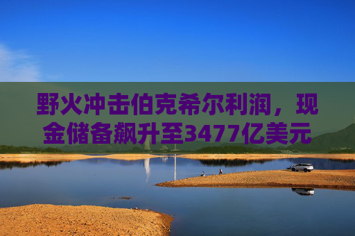 野火冲击伯克希尔利润，现金储备飙升至3477亿美元