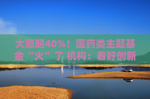 大涨超40%！医药类主题基金“火”了 机构：看好创新药投资机会