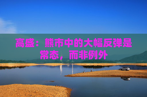 高盛：熊市中的大幅反弹是常态，而非例外  第1张