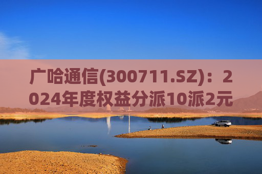 广哈通信(300711.SZ)：2024年度权益分派10派2元 股权登记日5月12日