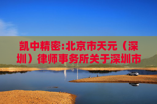 凯中精密:北京市天元（深圳）律师事务所关于深圳市凯中精密技术股份有限公司2024年年度股东大会的法律意见