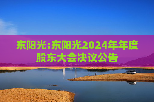 东阳光:东阳光2024年年度股东大会决议公告