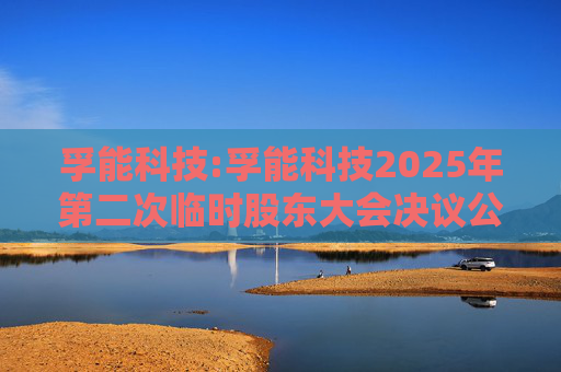 孚能科技:孚能科技2025年第二次临时股东大会决议公告