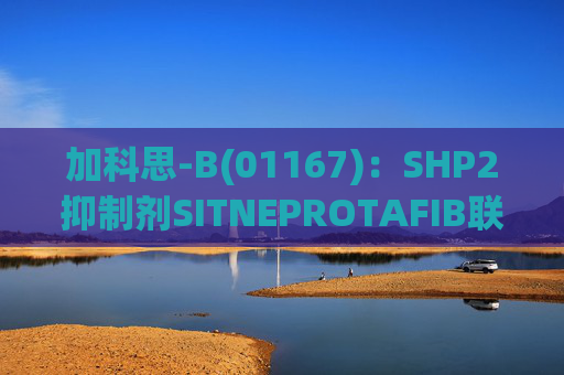 加科思-B(01167)：SHP2抑制剂SITNEPROTAFIB联用研究数据发表于学术期刊