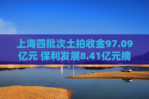 上海四批次土拍收金97.09亿元 保利发展8.41亿元摘得青浦一宅地