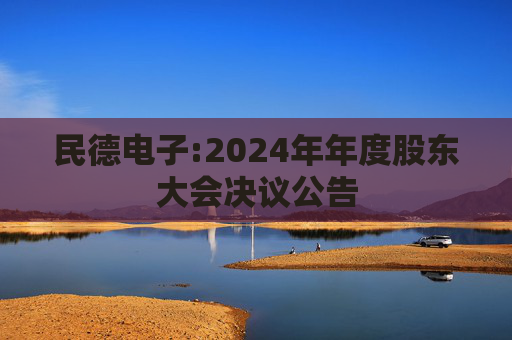 民德电子:2024年年度股东大会决议公告
