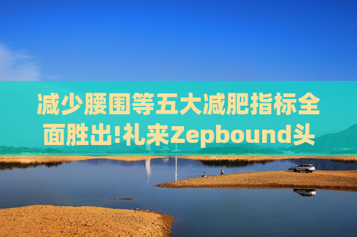 减少腰围等五大减肥指标全面胜出!礼来Zepbound头对头试验碾压诺和诺德(NVO.US)Wegovy