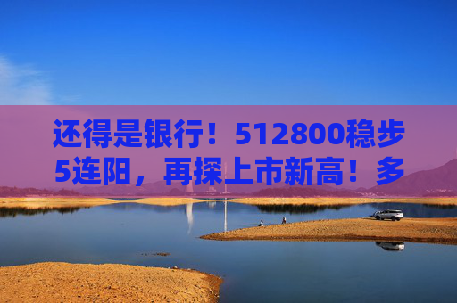 还得是银行！512800稳步5连阳，再探上市新高！多股续创历史，险资持续“爆买”