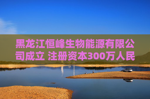 黑龙江恒峰生物能源有限公司成立 注册资本300万人民币