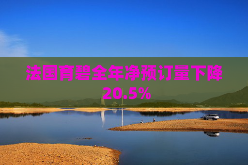 法国育碧全年净预订量下降 20.5%