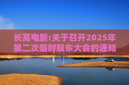 长高电新:关于召开2025年第二次临时股东大会的通知