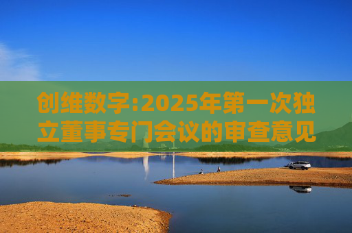 创维数字:2025年第一次独立董事专门会议的审查意见