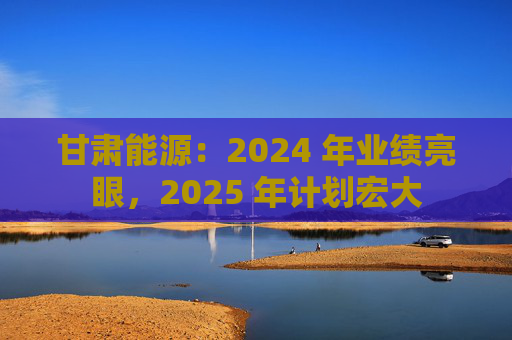 甘肃能源:2024 年业绩亮眼,2025 年计划宏大