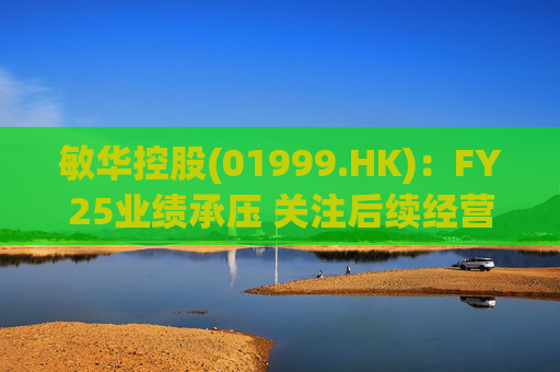 敏华控股(01999.HK)：FY25业绩承压 关注后续经营改善