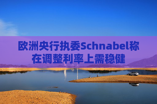 欧洲央行执委Schnabel称在调整利率上需稳健